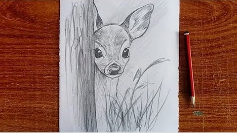 How to Draw a Deer Fawn – Step-by-Step Tutorial | Easy Drawing Guide