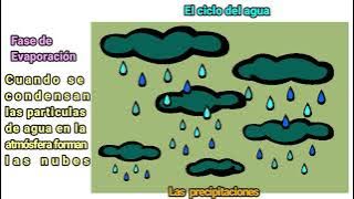 💧El Ciclo del Agua: Definición, Cambios de Estado y Fases💧