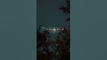 سورة الإخلاص الشيخ ماهر المعيقلي