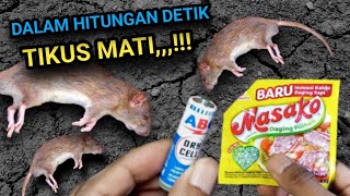 DALAM HITUNGAN DETIK TIKUS MATI CUKUP DENGAN BATREI