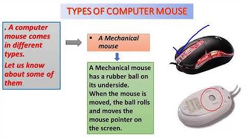 STD 2  CH 6   MORE ABOUT COMPUTER MOUSE  PART 1