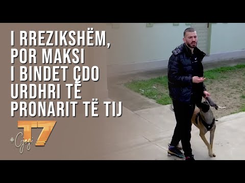 Video: Si Ta Trajnoni Qenin Tuaj Të Përdorë Tualetin