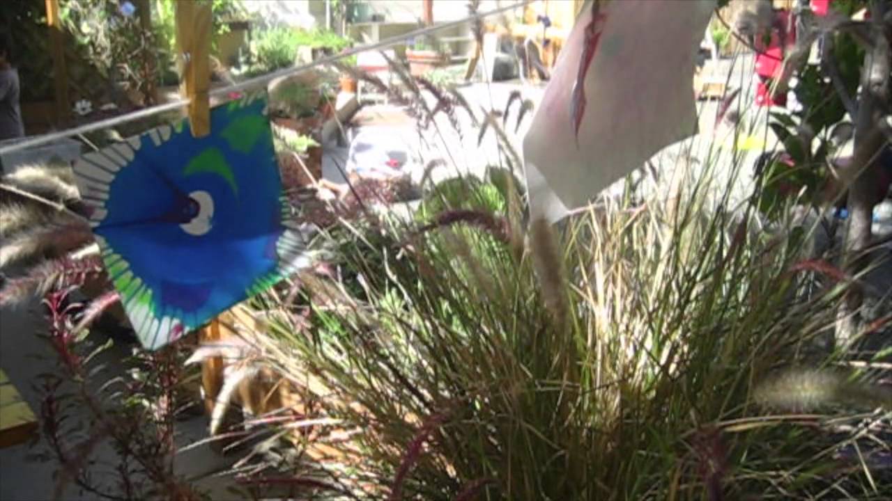 MPS Graduation 2014 YouTube