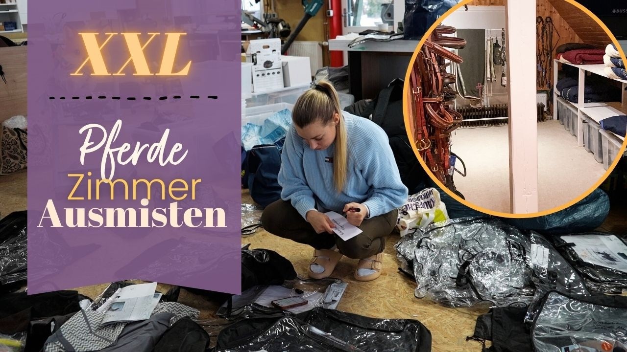 Ich trenne mich von meinem XXL Pferdezimmer | BinieBo 2026