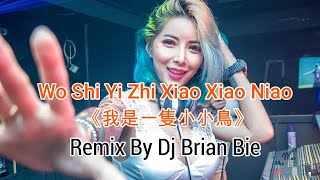 Download Lagu Wo Shi Yi Zhi Xiao Xiao Niao《我是一隻小小鳥》(Electro Manyao) By Dj Brian Bie #manyaodj #djremix #remix #dj MP3 Download Lagu Wo Shi Yi Zhi Xiao Xiao Niao《我是一隻小小鳥》(Electro Manyao) By Dj Brian Bie #manyaodj #djremix #remix #dj MP3