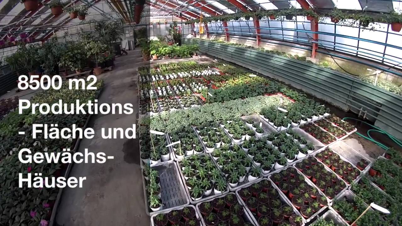 Gartencenter Guggenbühl