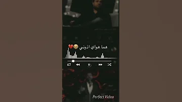انته شبيك ياكلبي شو ماترضى تنساهم هما هواي اذوني انته وياي وياهم 