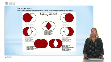SQL: Lenguaje de manipulación de datos |  | UPV