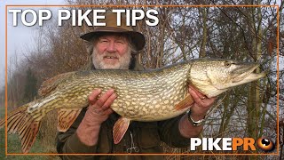 Big Pike Fishing : Top Tips