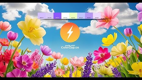 ColorZap.co - The Ultimate Free AI-Powered Color Palette Generator & Design Toolkit