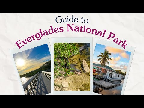 Vídeo: Principais atividades no Everglades National Park