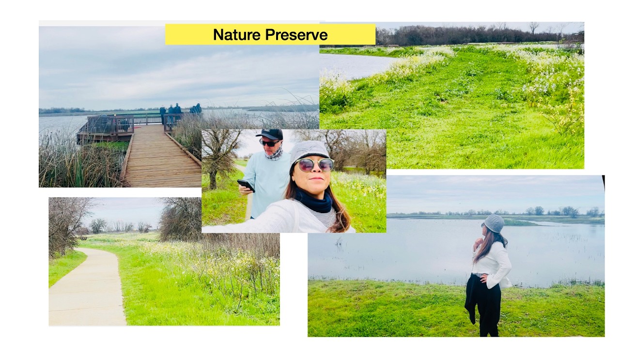 Picnic at the Nature Preserve