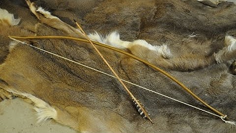 Sinew Backed Yew Bow