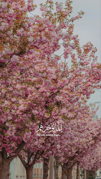 Quran recitation video with English translation #subscribe
