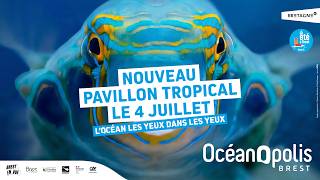 Métamorphose - Nos Abonnés Visitent En Avant-Première Le Pavillon Tropical