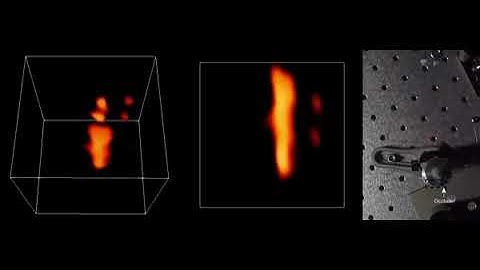 Bug eyes and bat sonar: Bioengineers turn to animal kingdom for creation of bionic super 3D cameras