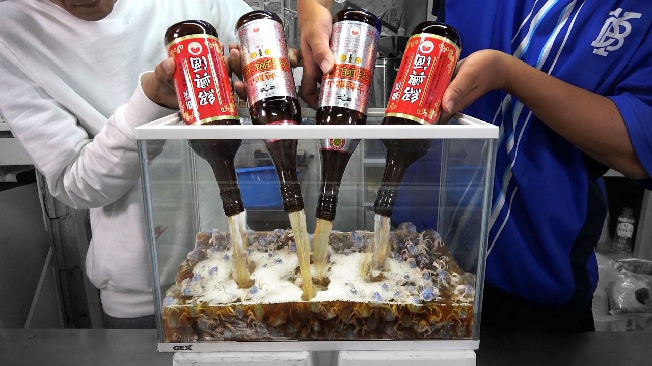 市場に出回らない味覚バグ蟹を紹興酒でつけて酔蟹を作る！【後編】