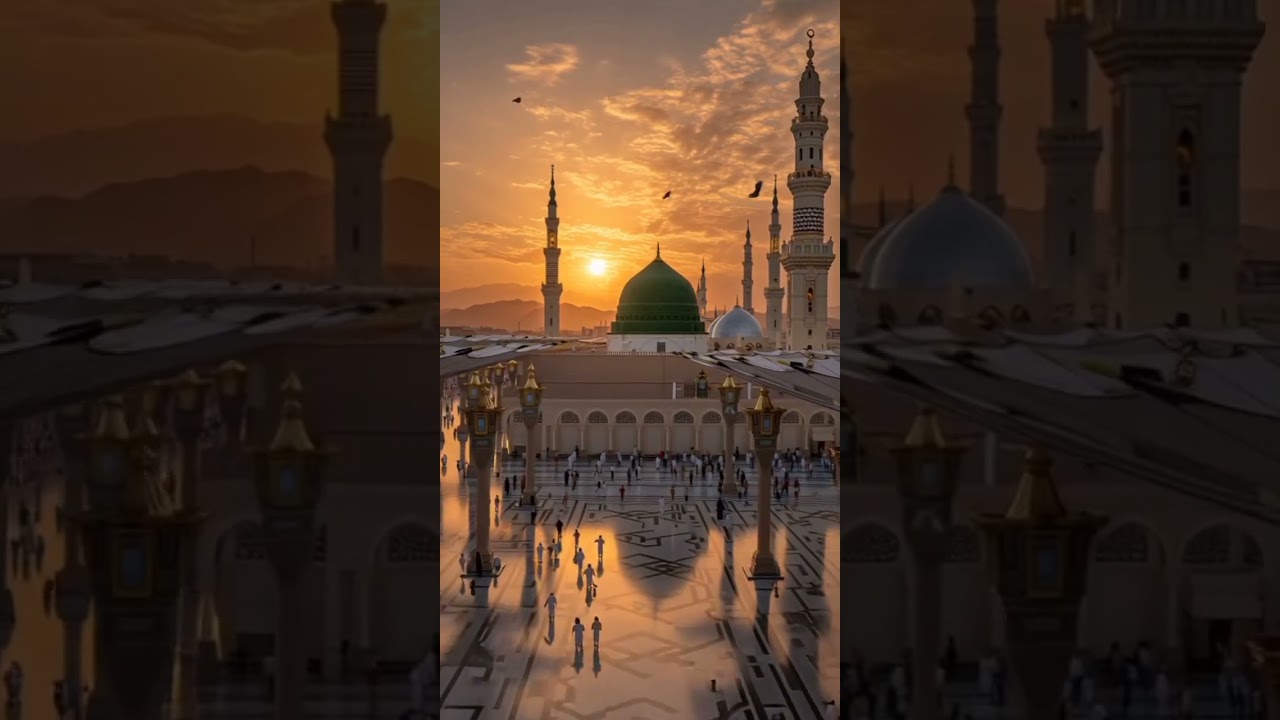 11 февраля 2026 г.