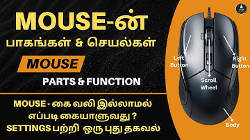 🖱️ Computer Mouse – Parts and Functions Explained!