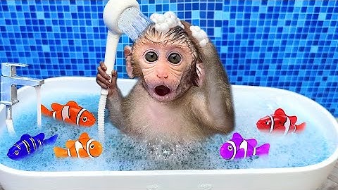 Monkey Baby Bon Bon bath in a bathtub with rainbow fish and play in the farm with ducklings #monkey