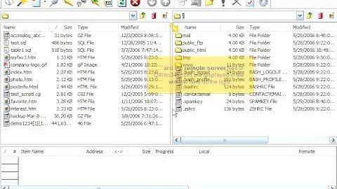 Uploading Files using CuteFTP