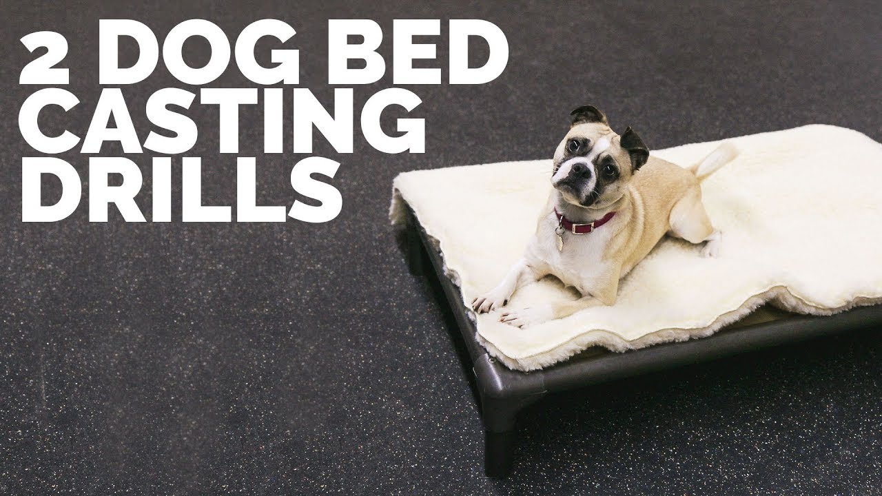 puppy paradise 2 Dog Bed Casting Drills