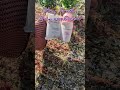 Glow Essentials #shortsfeed #glowup #shopping #beauty #fypシ #viral  #viralshorts #ytshorts #skincare