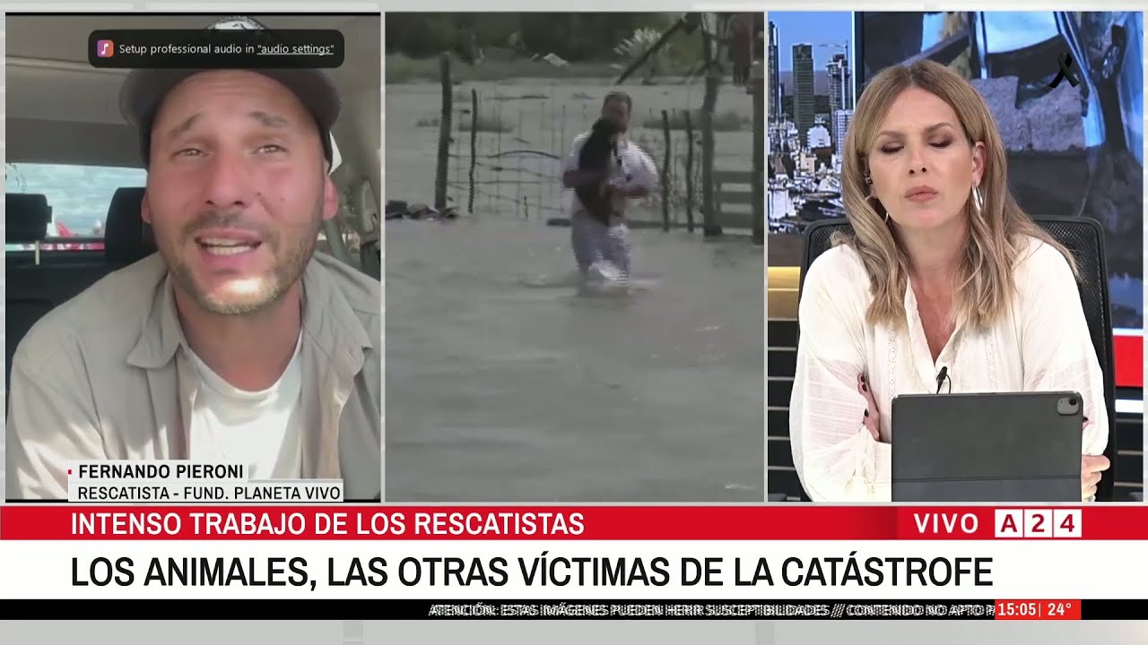 Temporal de Bahía Blanca: la difícil situación de los animales, las otras víctimas de la tragedia