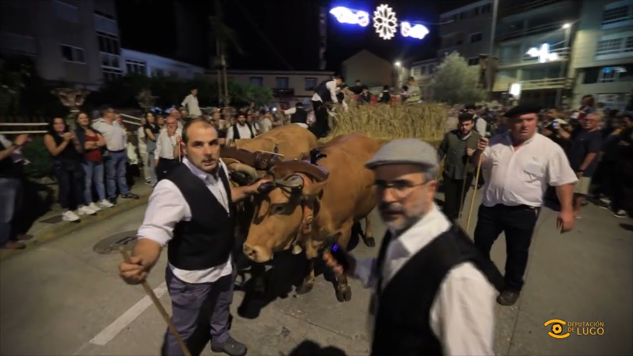 Noticia de Lugo: Folión de Carros de Chantada 2022