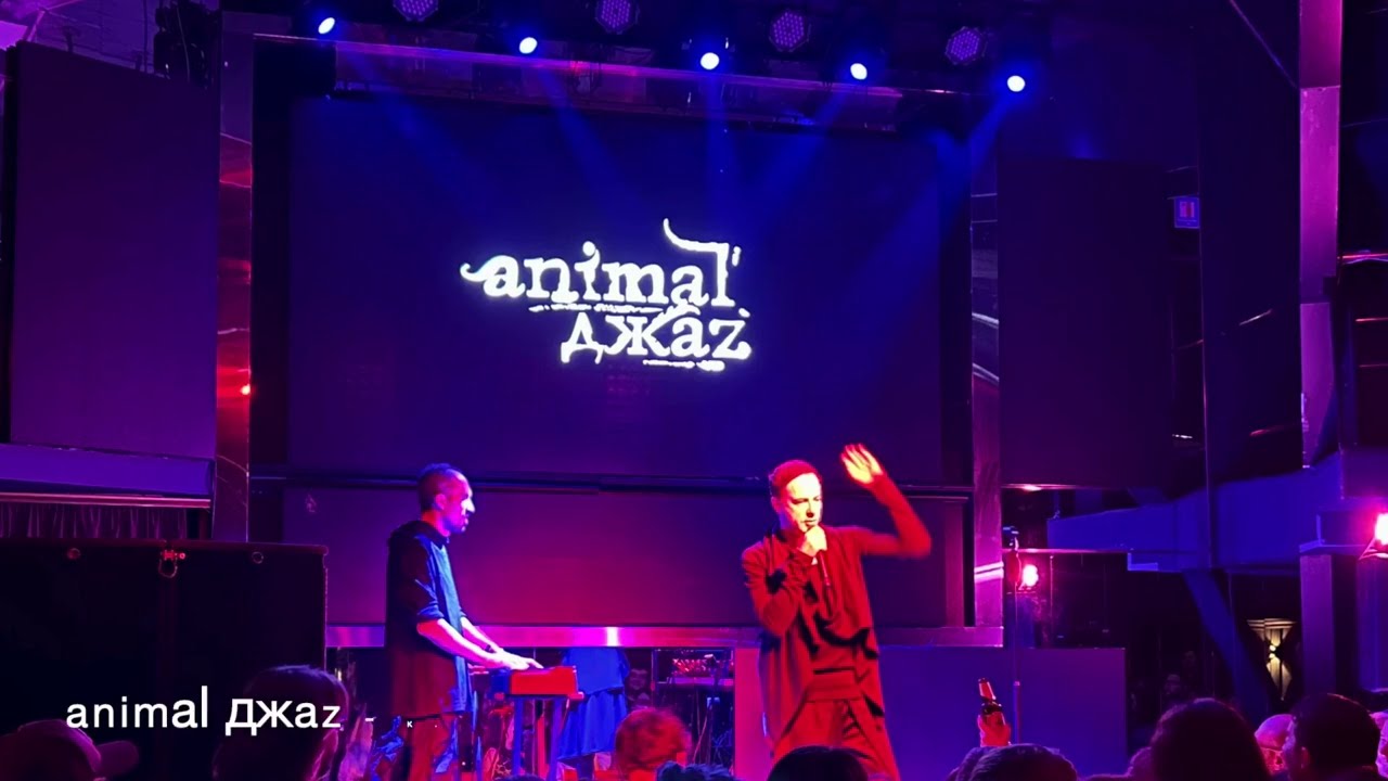 Animal Jazz - Концерт в Кишинёве, 25 09 25