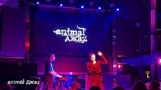картинка: Animal Jazz - Концерт в Кишинёве, 25 09 25