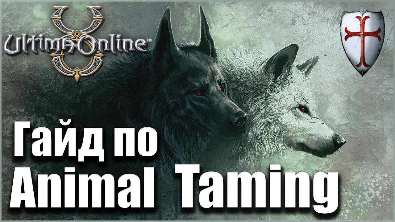 Ultima Online Animal Taming YouTube ultima-online-animal-taming-youtube