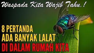 🛑 BEWARE IF THEY APPEAR AT NIGHT ❗ 8 Signs of Lots of Flies in the House According to the Ancient...