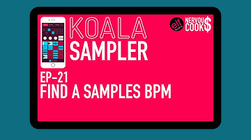 Koala Sampler Tutorial - EP 21 - Finding The BPM/Tempo Of A Sample