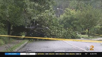 Strong Winds Toppled Tree Across New Jersey