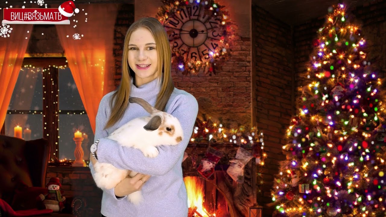 С Наступающим годом Кролика - 2023!