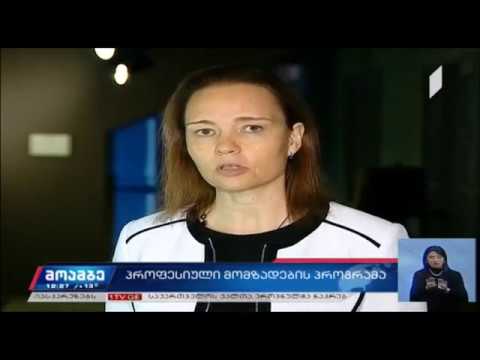 პროფესიული მომზადების პროგრამის შემუშავება ესტონურ მოდელზე დაყრდნობით