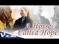 A HORSE CALLED HOPE  - FULL HD INSPIRATIONAL MOVIE IN ENGLISH