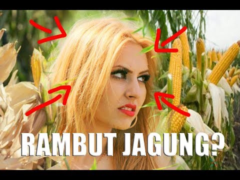 RAMBUT JAGUNG...? Ternyata Ini Manfaatnya 