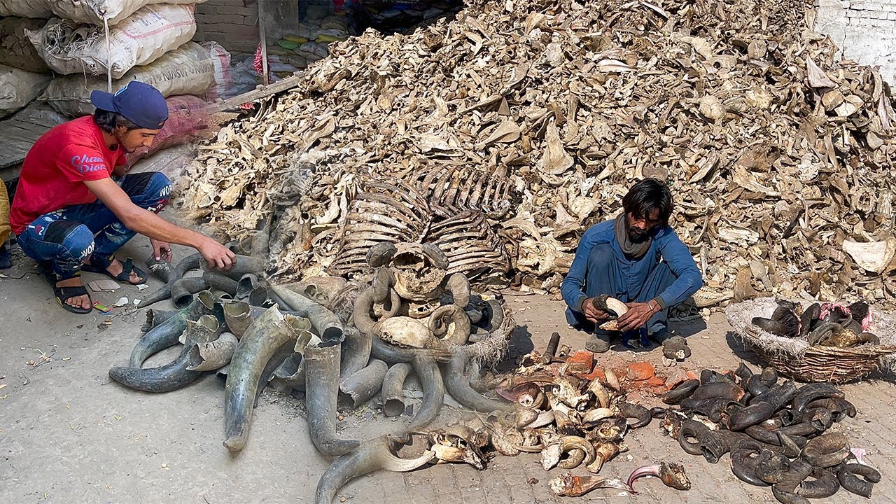 60 Years Old Factory Recycling Animal Bones & Horns | Turning Waste into Valuable Handcrafted Items