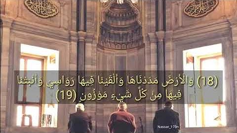 أجمل حالات واتس اب قرآن/إدريس أبكر😍/تلاوة خاشعة🌿/مقاطع دينية قصيرة💚