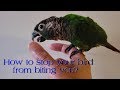 How to avoid bird biting? Learn a VERY SIMPLE trick to teach your conure to not bite you