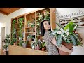 Plant Tour | My 200+ Houseplant Collection