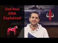ZED RUN | Breeding (DNA explained)