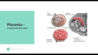 Безоперационное лечение суставов / Регенерация клеток /Инновационный препарат Chondrostem
