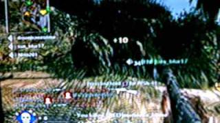 Call of Duty: World at War ~ Springfield Mayhem Daytage