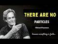 Richard Feynman There Are NO Particles You Re Made Of Quantum Fields Not Things 