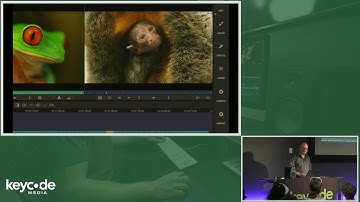 MEDIA COMPOSER 2019: PANEL UI, BINS, BIN CONTAINERS, AND TIMELINE UPDATED