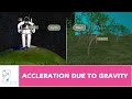 Free Fall and Acceleration Due to Gravity Explained