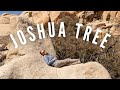 Van life in JOSHUA TREE